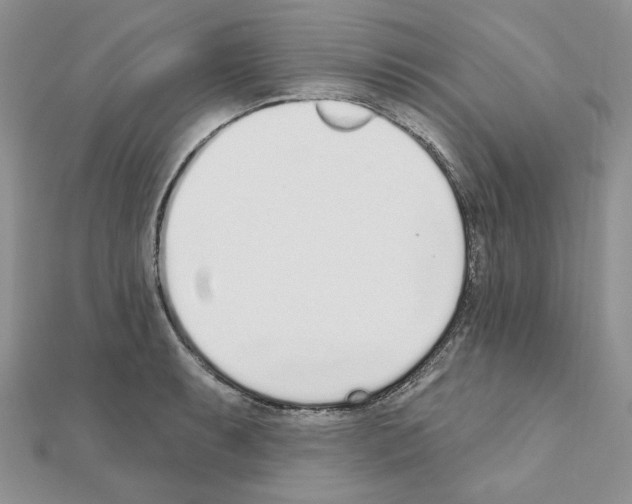 X0000110981087200907310944