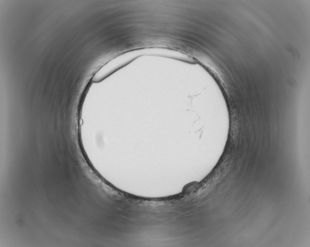 X0000110981088200907310944