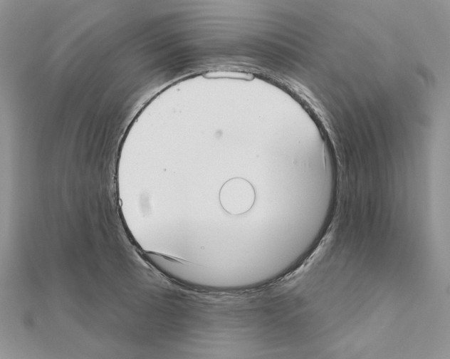 X0000110981089200907310944