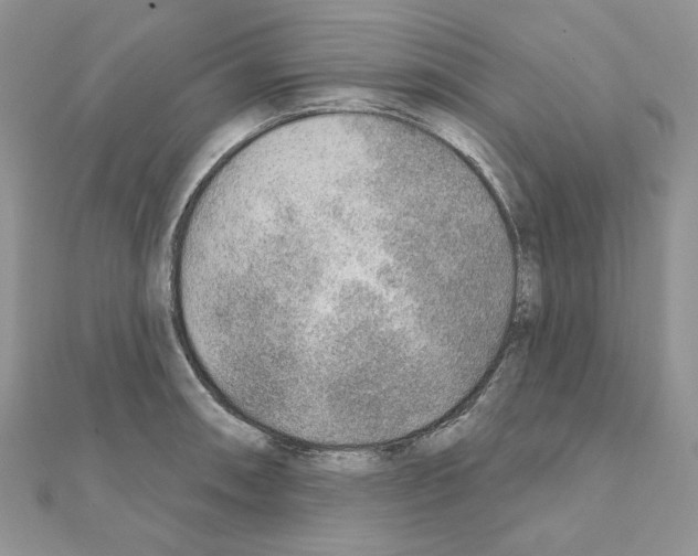 X0000110981090200907310944