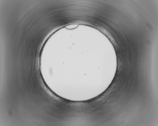 X0000110981092200907310944