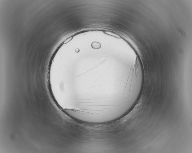 X0000110981093200907310944