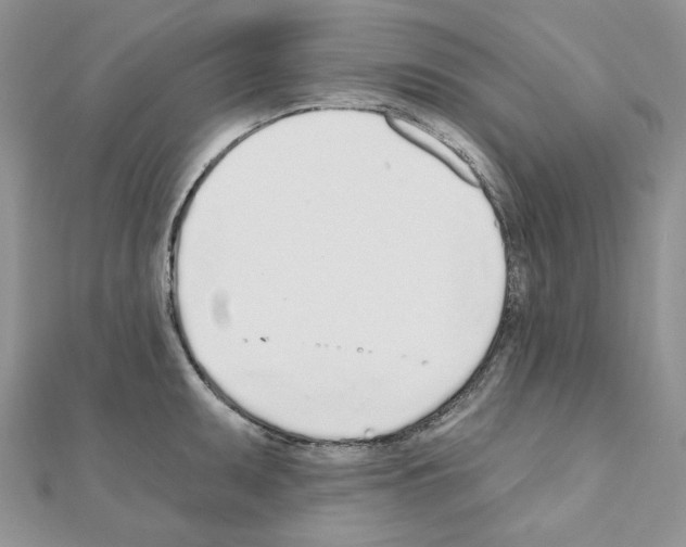 X0000110981095200907310944