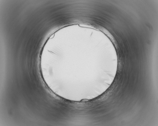 X0000110981096200907310944