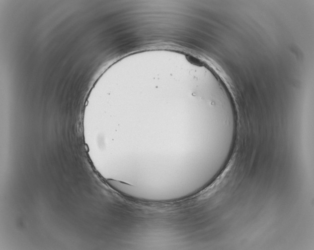 X0000110981097200907310944