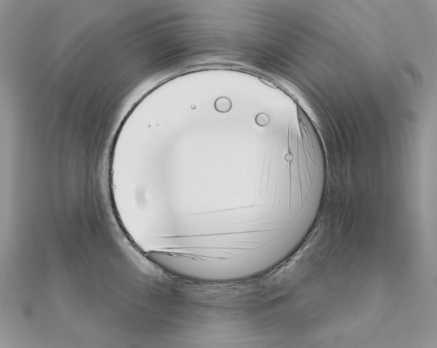 X0000110981098200907310944