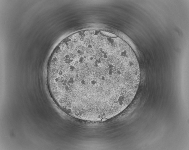 X0000110981099200907310944