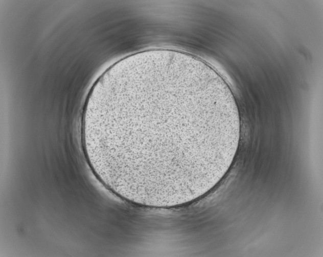 X0000110981100200907310944