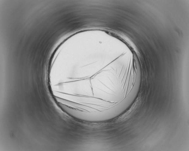 X0000110981101200907310944