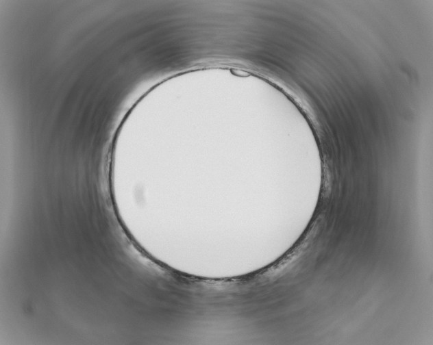 X0000110981102200907310944