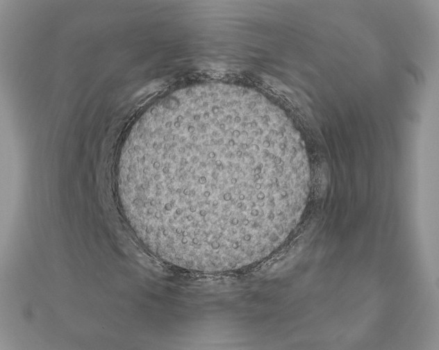 X0000110981105200907310944