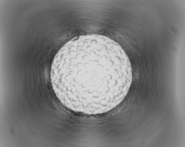 X0000110981106200907310944