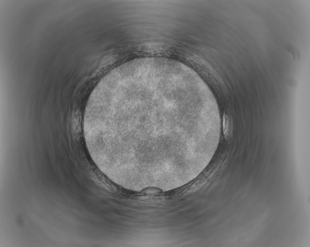 X0000110981107200907310944