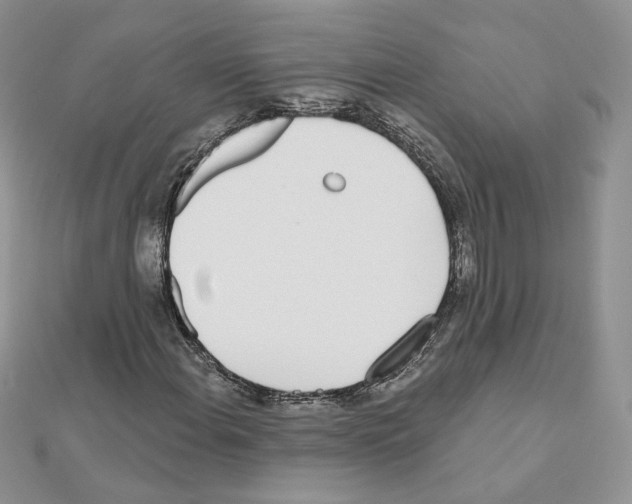 X0000110981108200907310944