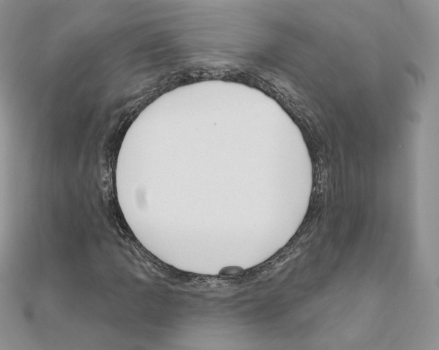 X0000110981109200907310944