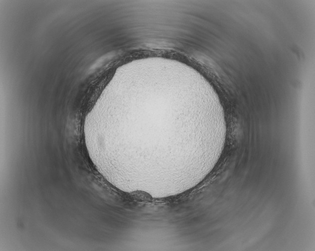 X0000110981110200907310944