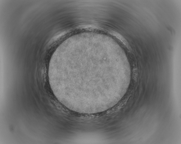 X0000110981111200907310944