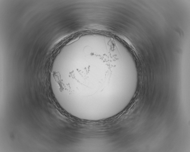 X0000110981112200907310944