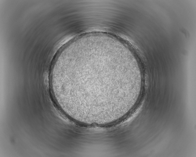 X0000110981113200907310944