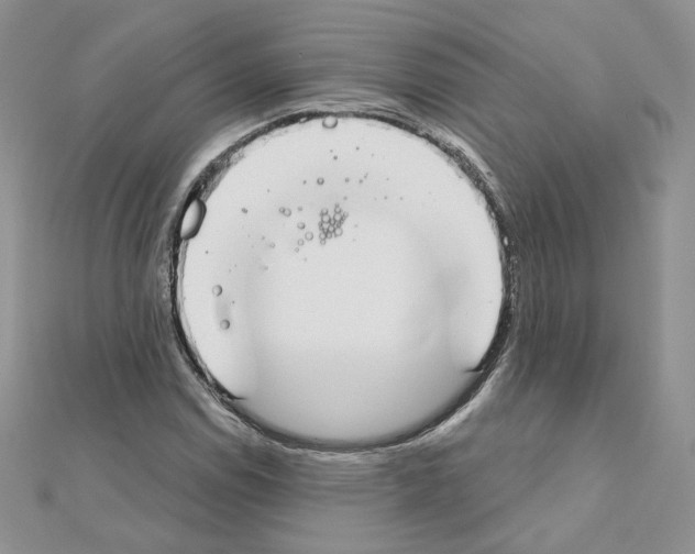 X0000110981114200907310944