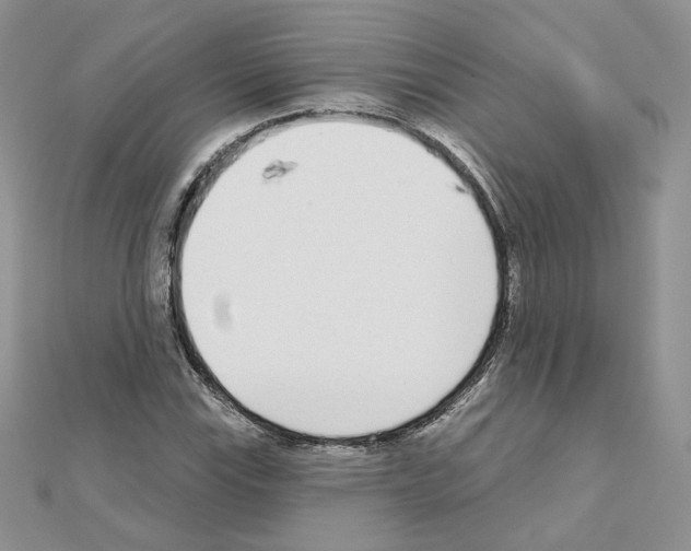 X0000110981115200907310944
