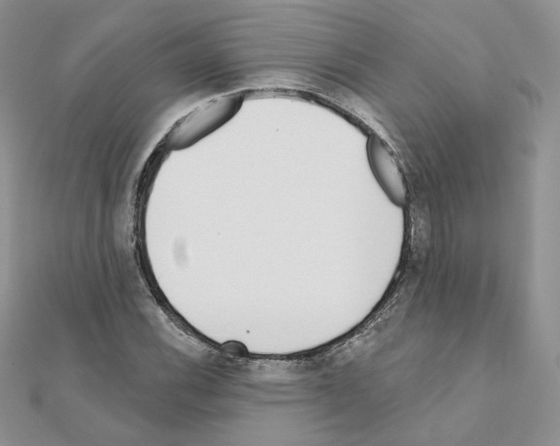 X0000110981116200907310944
