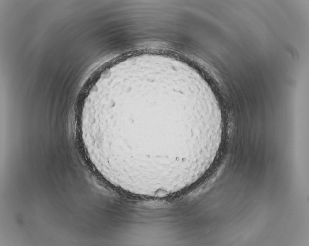 X0000110981117200907310944