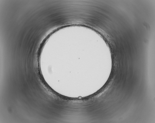 X0000110981118200907310944