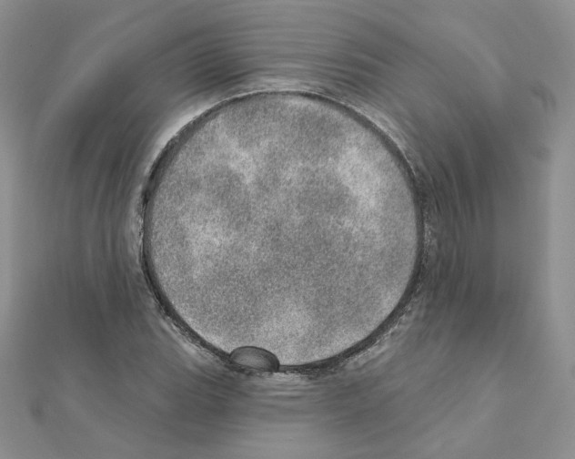 X0000110981119200907310944