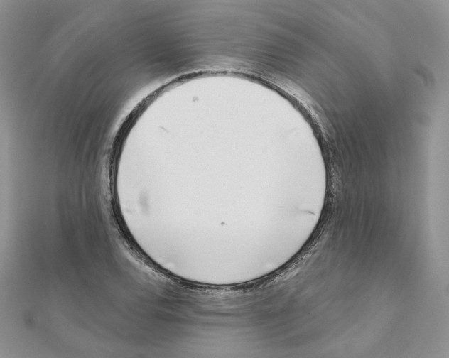 X0000110981120200907310944