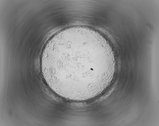X0000110981121200907310944