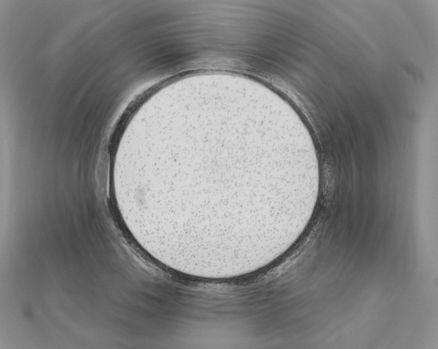 X0000110981123200907310944