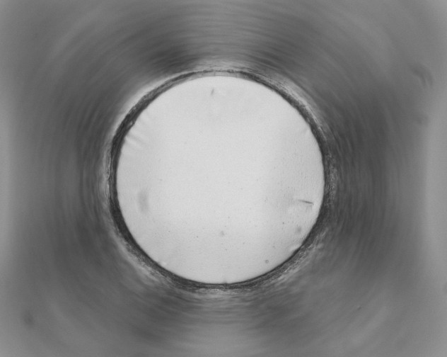 X0000110981124200907310944