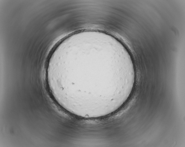 X0000110981125200907310944