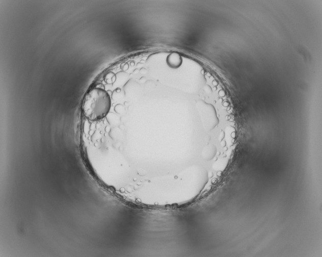 X0000110981126200907310944