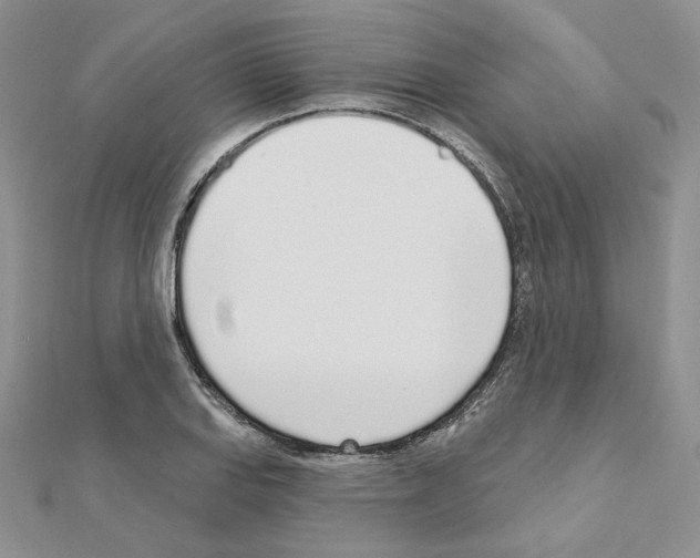 X0000110981127200907310944