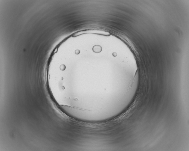 X0000110981128200907310944