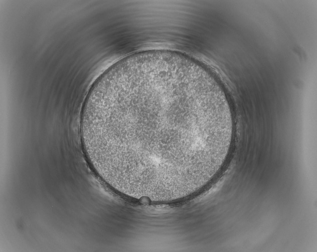 X0000110981129200907310944