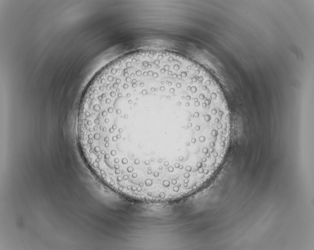 X0000110981130200907310944