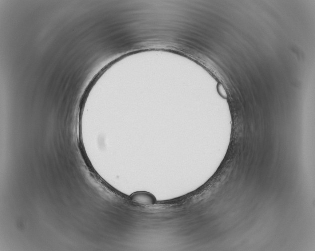 X0000110981132200907310944