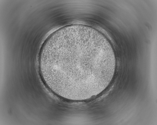 X0000110981133200907310944