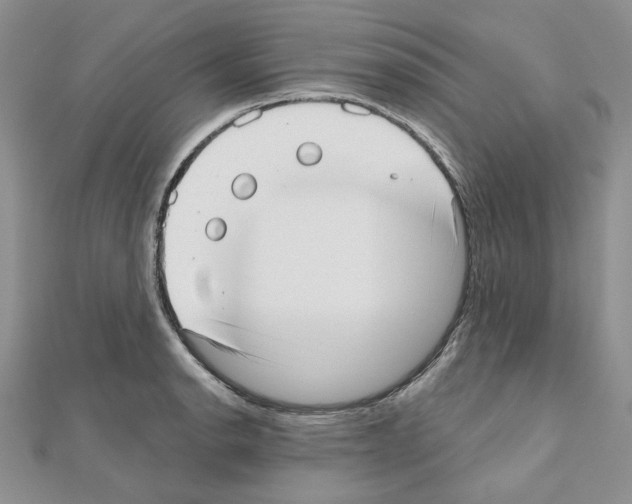 X0000110981134200907310944