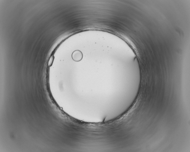 X0000110981138200907310944