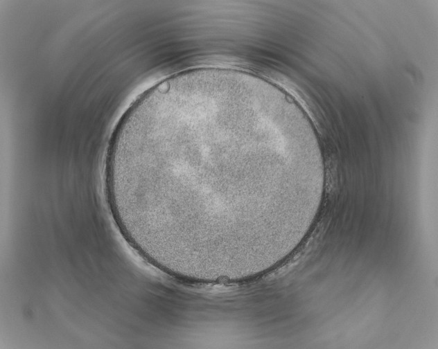 X0000110981139200907310944