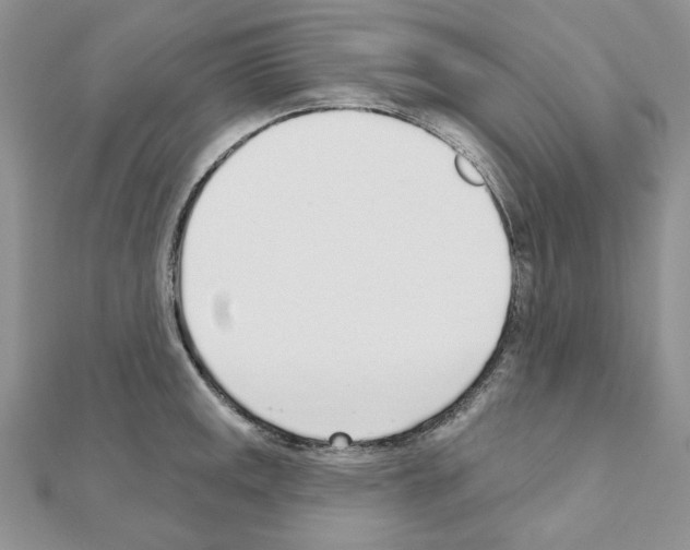 X0000110981141200907310944