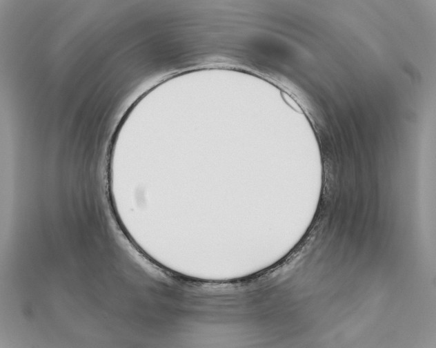 X0000110981142200907310944