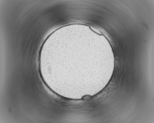 X0000110981143200907310944
