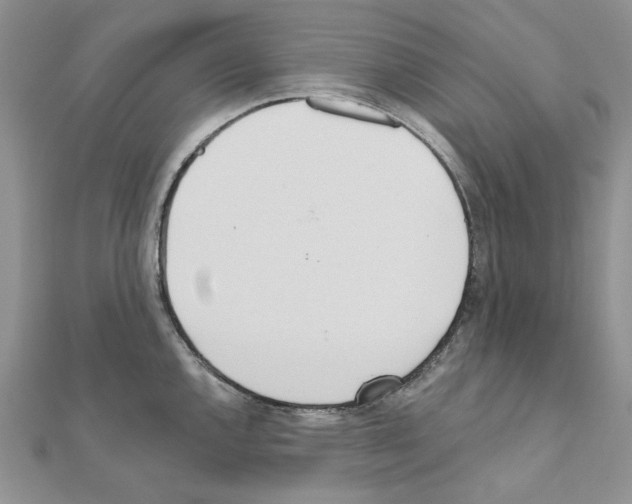 X0000110981144200907310944