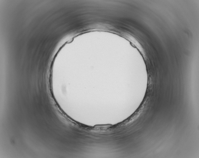 X0000110981146200907310944
