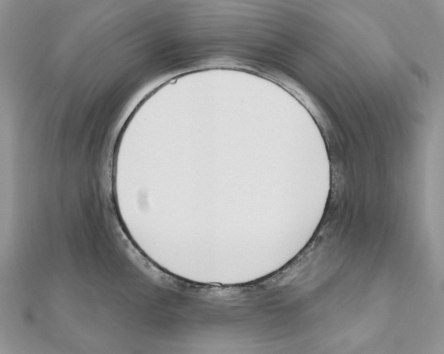 X0000110981148200907310944